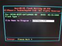 bios1.jpg